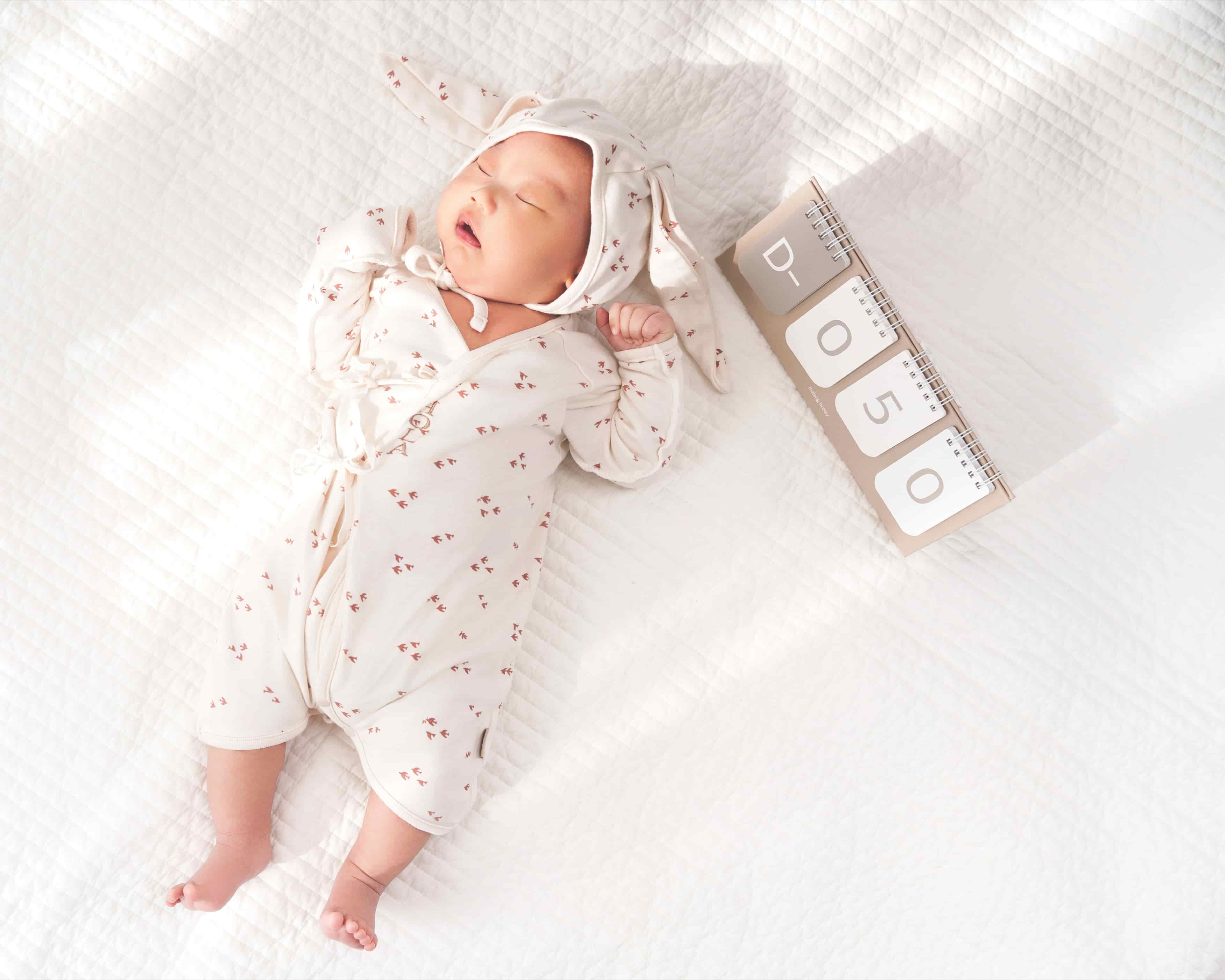 포트폴리오 사진